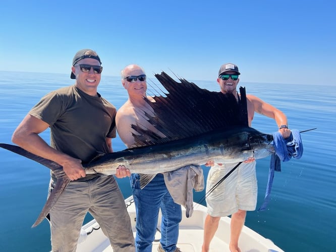 Offshore Charter - 33' World Cat in Pensacola
