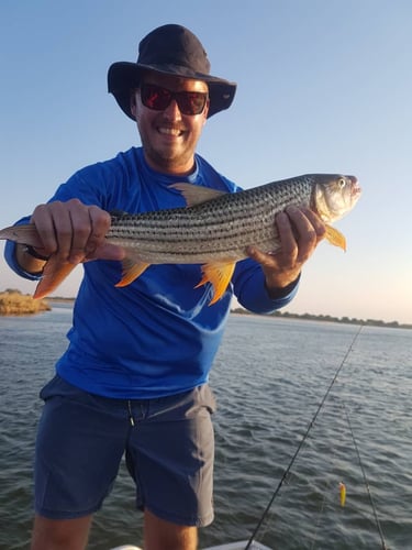 Luxury Zambia 5-Day Fishing Safari in Chimukuzi