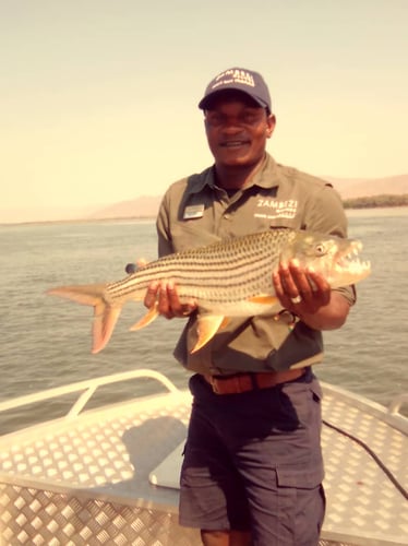 Luxury Zambia 5-Day Fishing Safari