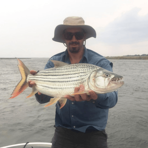 Luxury Zambia 5-Day Fishing Safari in Chimukuzi