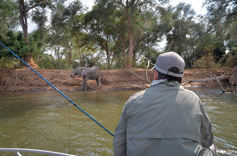 Luxury Zambia 5-Day Fishing Safari in Chimukuzi