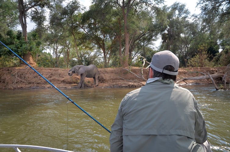 Luxury Zambia 5-Day Fishing Safari In Chimukuzi