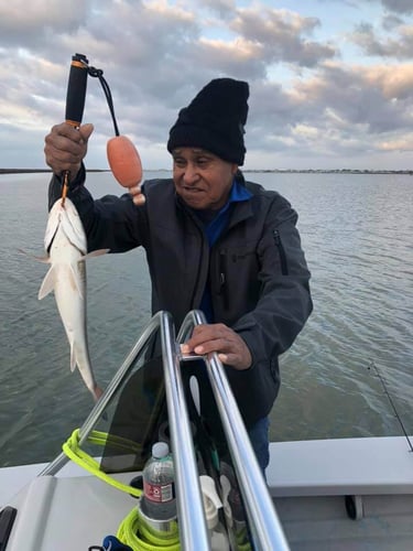 Full-Day/Half-day Fishing Trip - 22’ Majek