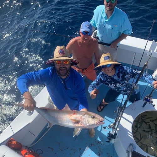Destin Bottom Fishing - 40' Infinity in Destin