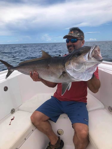 Destin Bottom Fishing - 40' Infinity in Destin