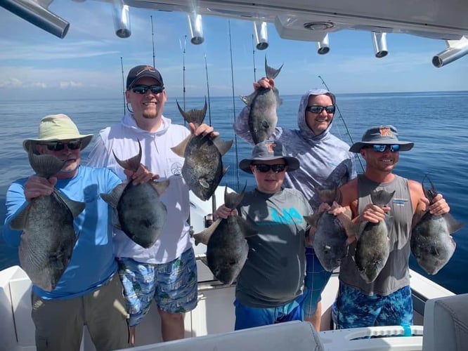 Destin Bottom Fishing - 40' Infinity in Destin