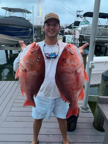 Destin Bottom Fishing - 40' Infinity in Destin
