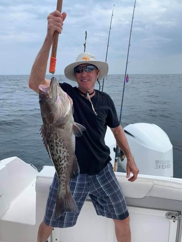 Destin Bottom Fishing - 40' Infinity in Destin