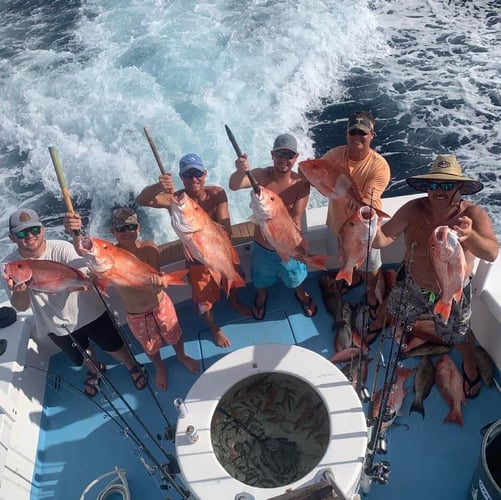 Destin Bottom Fishing - 40' Infinity in Destin