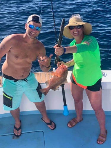 Destin Bottom Fishing - 40' Infinity in Destin