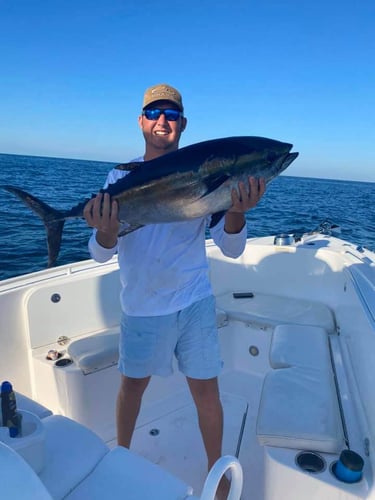 Destin Bottom Fishing - 40' Infinity in Destin