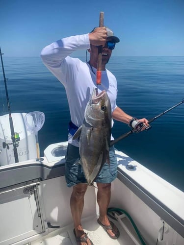 Destin Bottom Fishing - 40' Infinity in Destin