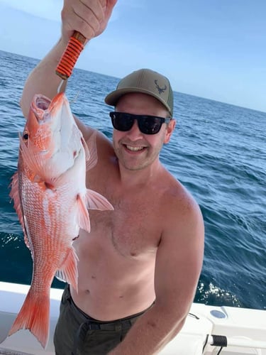 Destin Bottom Fishing - 40' Infinity in Destin
