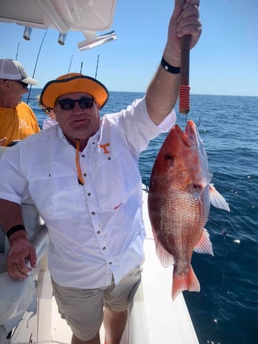 Destin Bottom Fishing - 40' Infinity in Destin