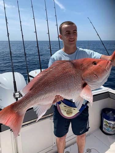 Destin Bottom Fishing - 40' Infinity in Destin