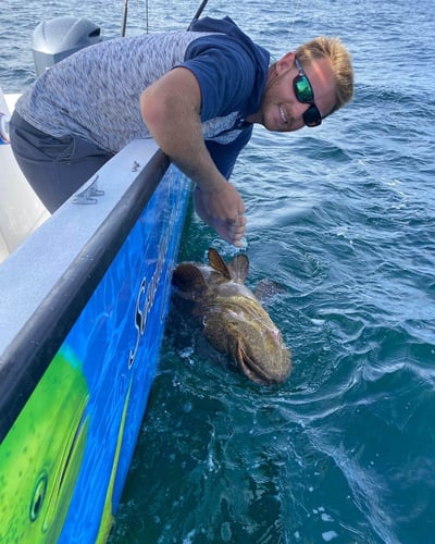 Destin Fishing - 21’ Cape Horn In Destin