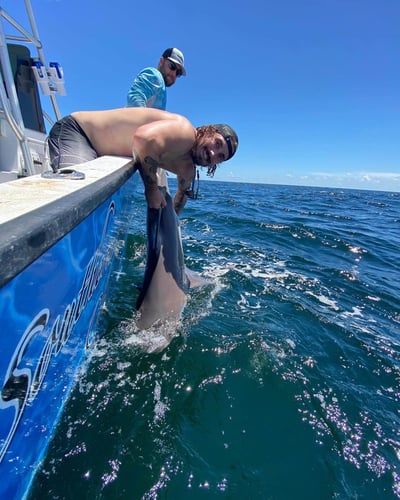 Destin Fishing - 21’ Cape Horn In Destin