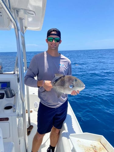 PCB Reefs and Trolling in Panama City Beach