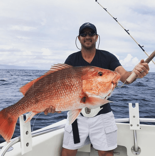 Destin Grocery Run - 40’ Infinity In Destin