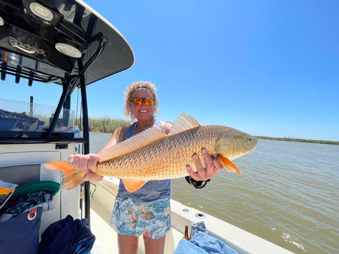 Full Day Inshore - 26' Blackjack In Boothville-Venice