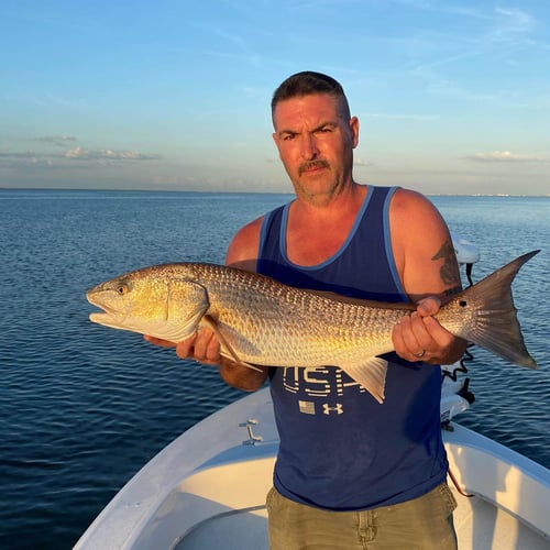 Tampa Bay Fishing - 22’ Aguasport In Clearwater