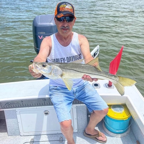 Tampa Bay Fishing - 22’ Aguasport
