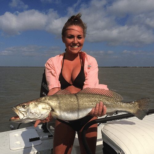 Aransas Pass Inshore Wade or Drift in Aransas Pass