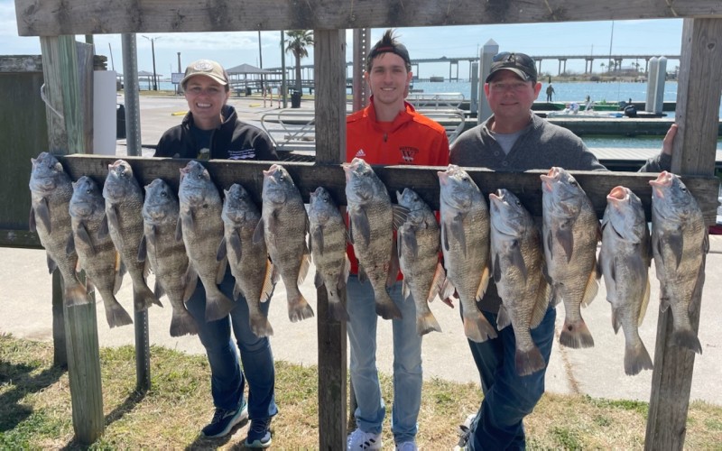Aransas Pass Inshore Wade or Drift in Aransas Pass