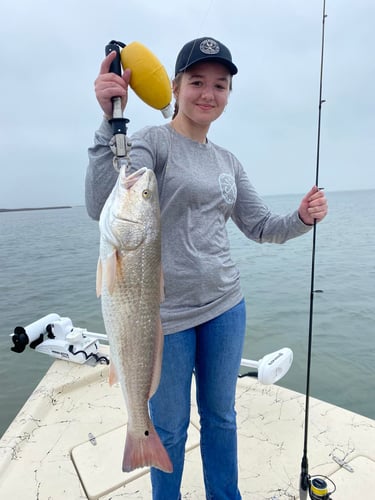 Aransas Pass Inshore Run in Aransas Pass
