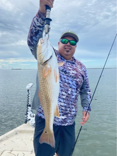 Aransas Pass Inshore Run In Aransas Pass