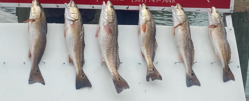 Aransas Pass Inshore Run in Aransas Pass