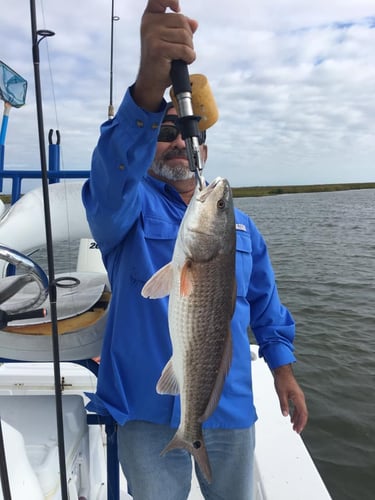 Aransas Pass Inshore Run in Aransas Pass