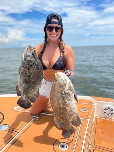 Tripletail Fishing In Apalachicola In Eastpoint