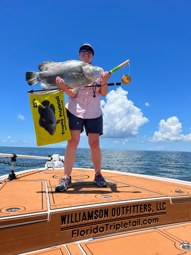 Tripletail Fishing In Apalachicola In Eastpoint