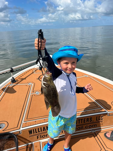 Tripletail Fishing In Apalachicola In Eastpoint