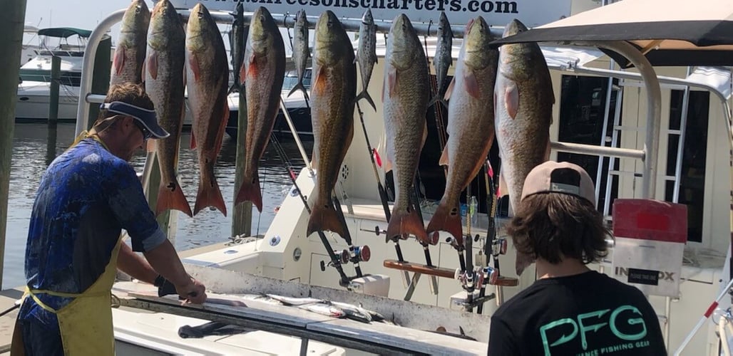 Biloxi Fishing Experience in Biloxi