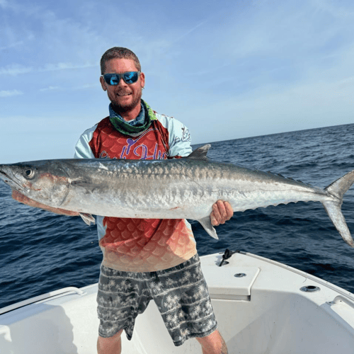Florida Sportfish On Light Tackle In St. Petersburg