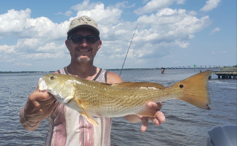 Inshore To Nearshore - 25’ SeaPro In Biloxi