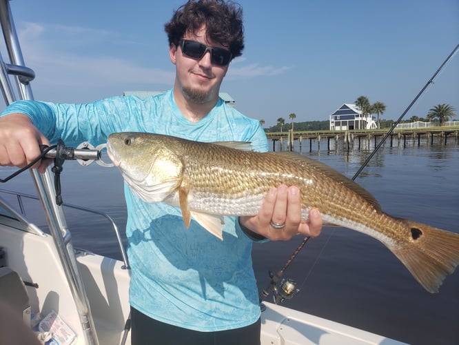 Inshore To Nearshore - 25’ SeaPro In Biloxi