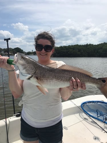 Inshore Fishing Excursion In St. Petersburg