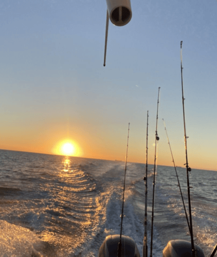 Cape Horn Red Snapper Slam In St. Petersburg
