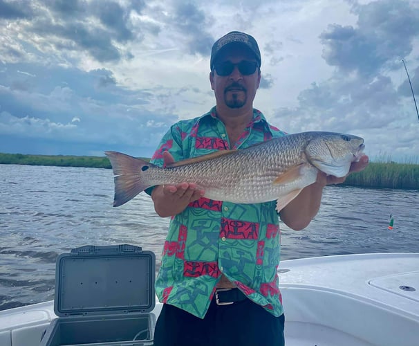 Sabine Lake Redfish And Trout In Port Arthur