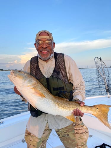 Sabine Lake Redfish And Trout In Port Arthur