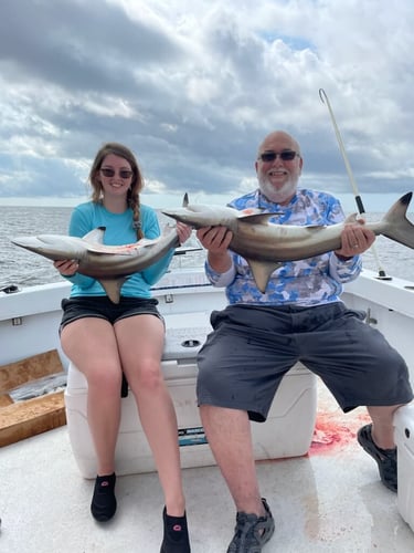 Biloxi Offshore In Biloxi