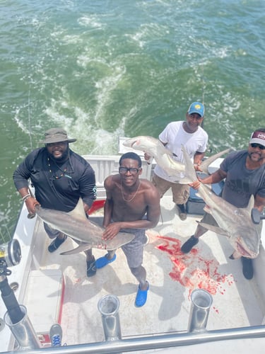 Biloxi Offshore In Biloxi
