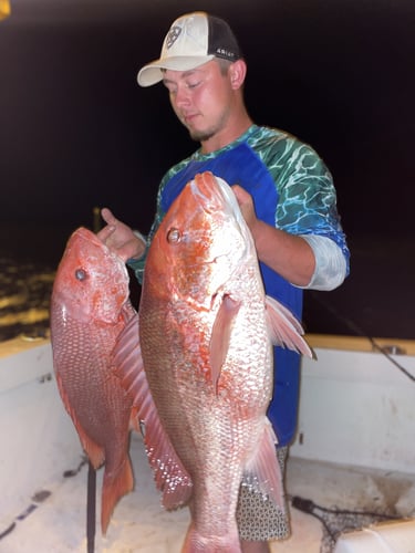 Full Day or 3/4 Day Snapper Fishing Trip - 28’ Topaz