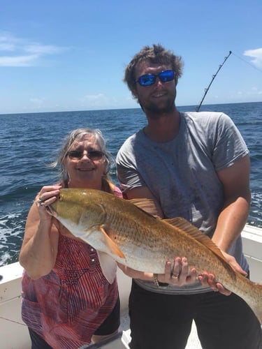 Biloxi Offshore In Biloxi