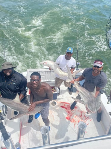 Biloxi Offshore In Biloxi