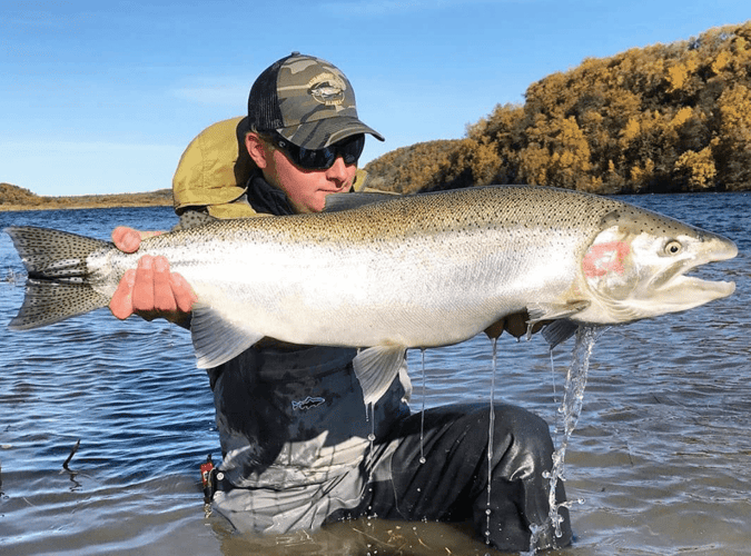 Naknek River All-Inclusive In King Salmon