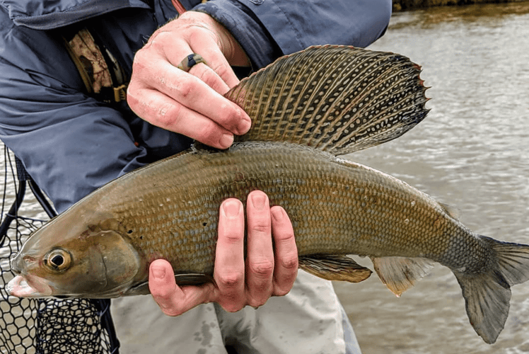 Naknek River All-Inclusive In King Salmon